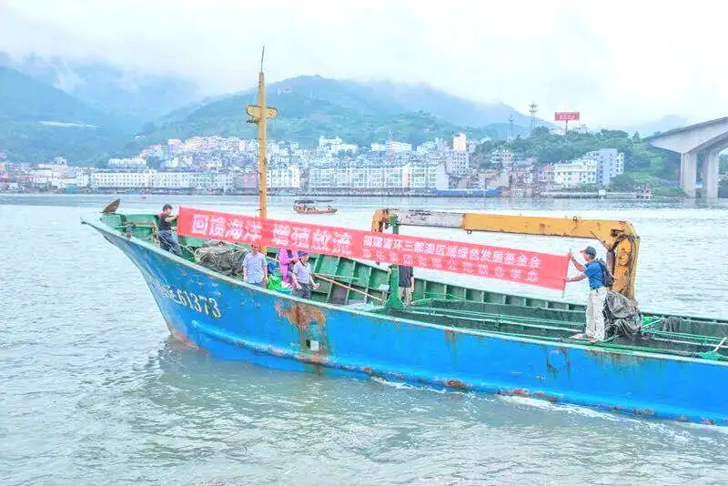 1756963332486054.jpg 1.jpg